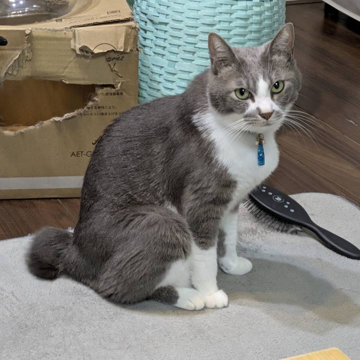 C32178f0 70a5 4d62 b195 c2102eb4a803 1758616964584