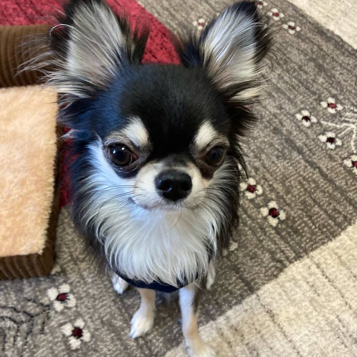 C32192e9 c8be 4ed1 9c61 babd07b55a1b 1609031492328