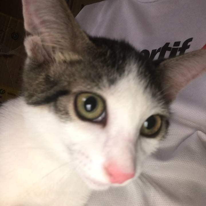 C321ca01 c735 40a9 a890 168efc99b228 1533514459969