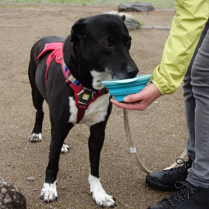 C321d394 e574 4a60 9cac 084a10d0b88f 1649981635157