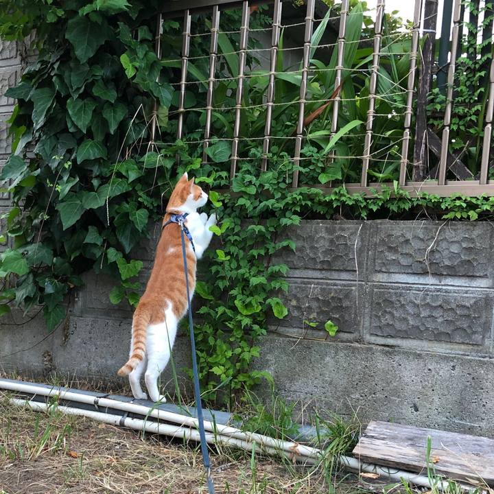 C321df82 9fd5 4988 805d 57aabe716cd3 1565448377837