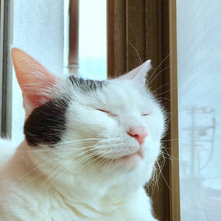 C321f952 9c22 463d 9544 f2964a90c492 1566703665522