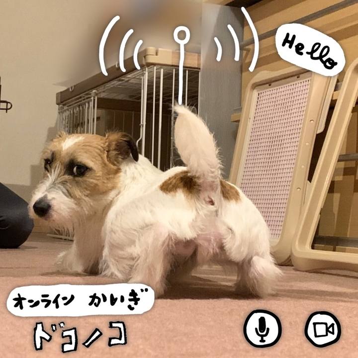 C3224ce2 e68c 4ce7 9461 fa65f9fcd58e 1590762338662