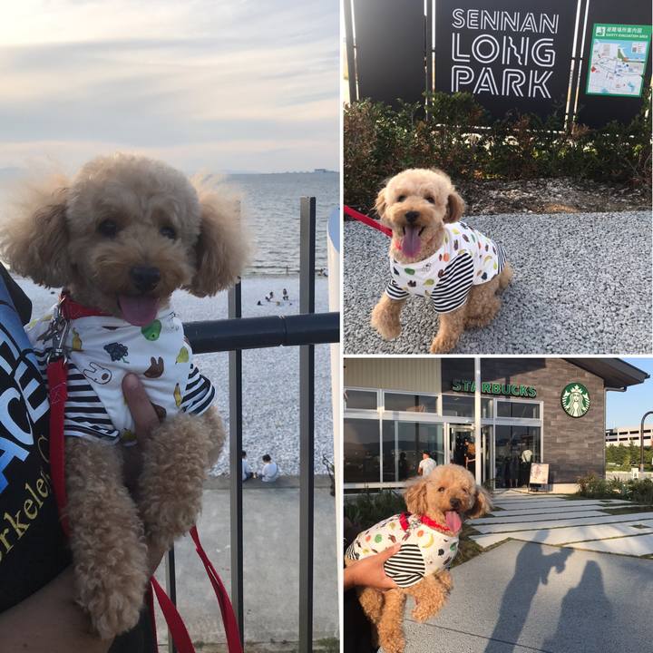 C32261f3 8e06 48f3 b5f4 42f9cd7738c8 1600695806781