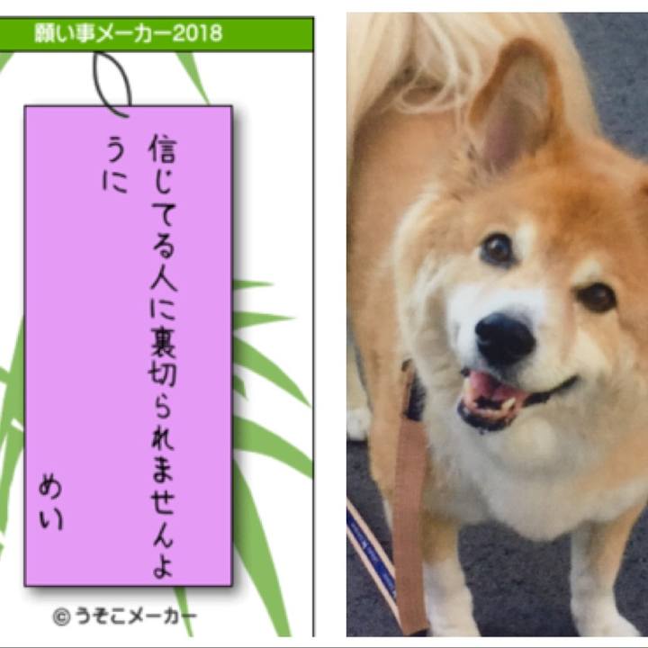 C3226fe8 d4fc 4bc1 93ff 3ac2222fa77d 1530971444734