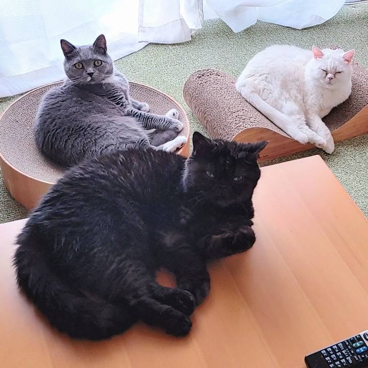 C3228ec7 56fe 47b9 a79f d9f76c70d8fc 1647129408935