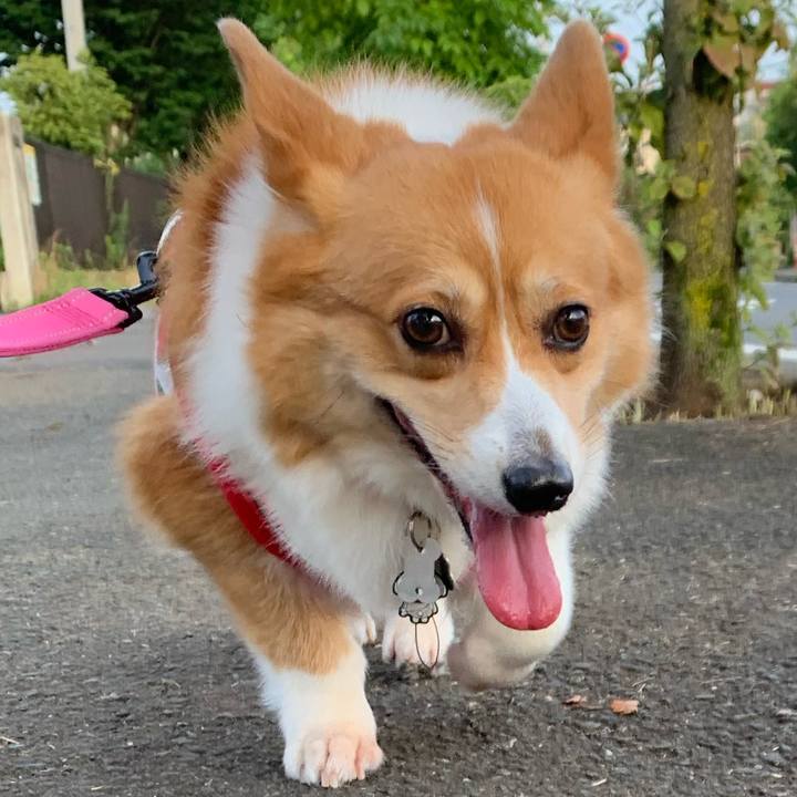 C3229fd8 31ab 41df 98f5 b4c1fd01a073 1595194513888