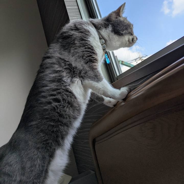 C322c68c b989 4a54 bd9b c70d666dd232 1753925658433