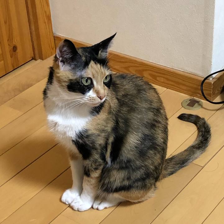 C322fd5a 74b9 465a 9758 e979f4a0a667 1608730712521