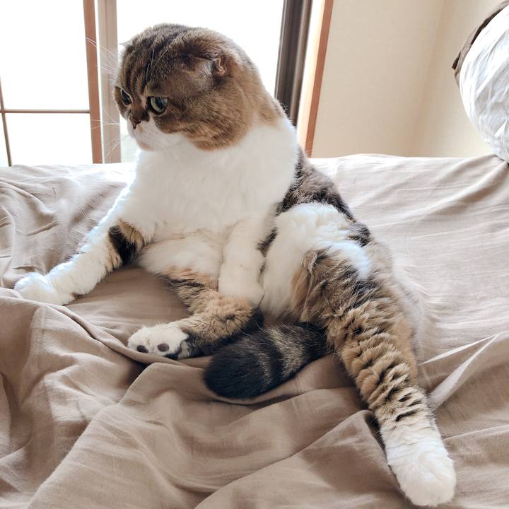 C3230f00 29cf 4562 a050 654869bcd3bc 1559555341157