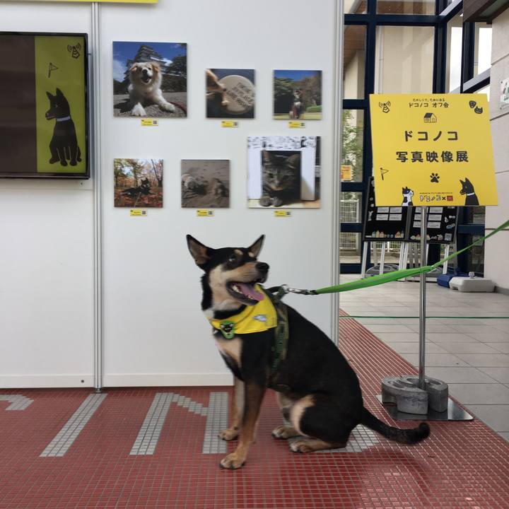 C3235c92 430c 4911 a571 c9a20c949ab9 1541855299673