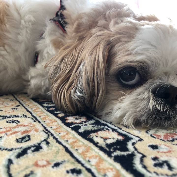 C3236bba 3302 499e 9680 f79ddb4e63d2 1562017620616