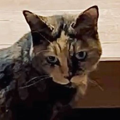 C3237c02 7677 4c17 bb2b 50b08d36f598 1757732083313