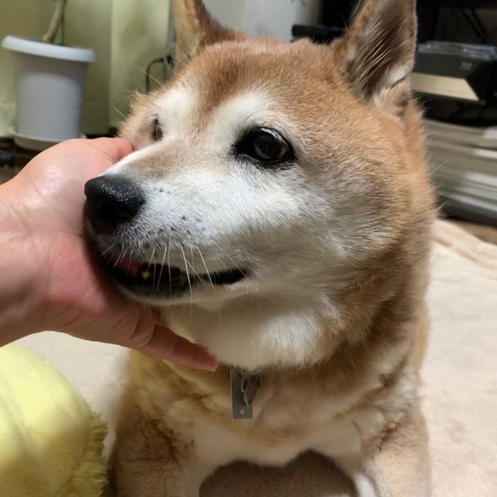 C323810b 0d1f 4803 8d53 16870cf32f94 1563975863781