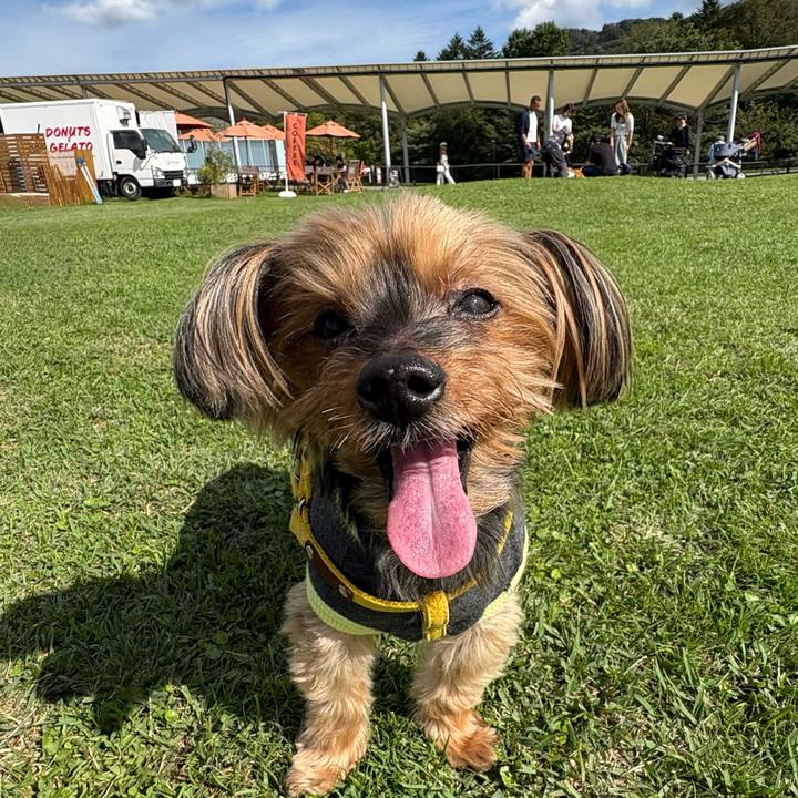 C323a806 212c 486c 9795 2b05eb50d50b 1758688313817