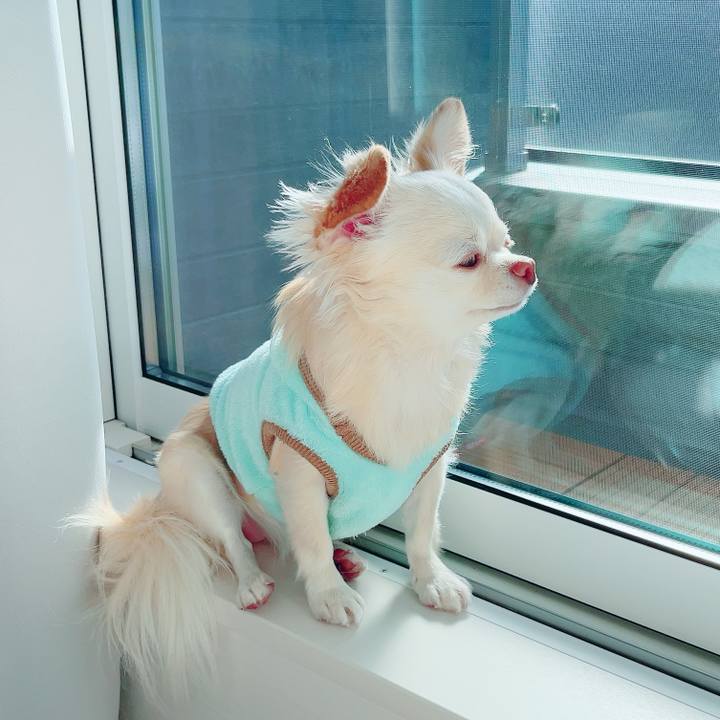 C323a812 2148 4f62 a811 791bc44ff98a 1700482613079