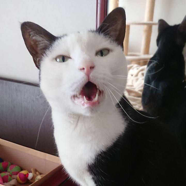 C323bbae 247e 4bf9 8fb7 ebd04a754ee1 1555204278146