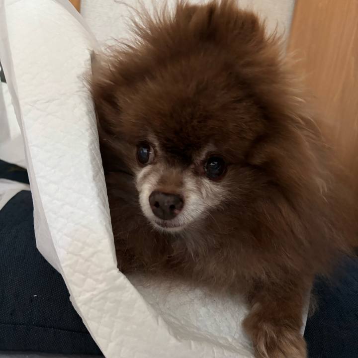 C323f770 8189 460d b30c 2d8b5b9b10c1 1750109887371