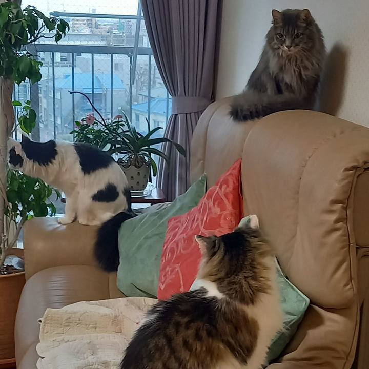 C3241fb7 c8e0 4689 b585 4821ed235fa0 1644275839024