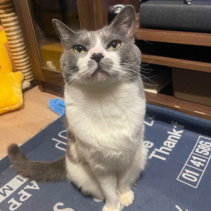 C324343a 0daa 4fac 9ddb de4329362026 1708252939074