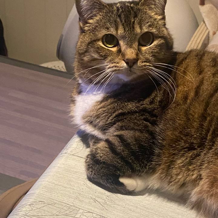 C3243702 2226 480d 9708 fa1e31bd925c 1678999509547