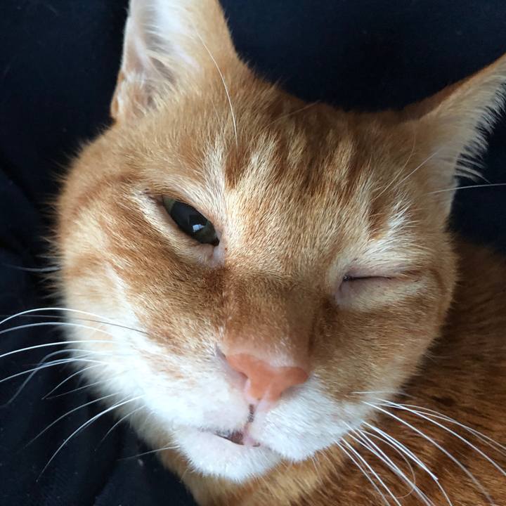 C3245a3a 3c9c 4944 92f0 ef704af59a28 1735424638166