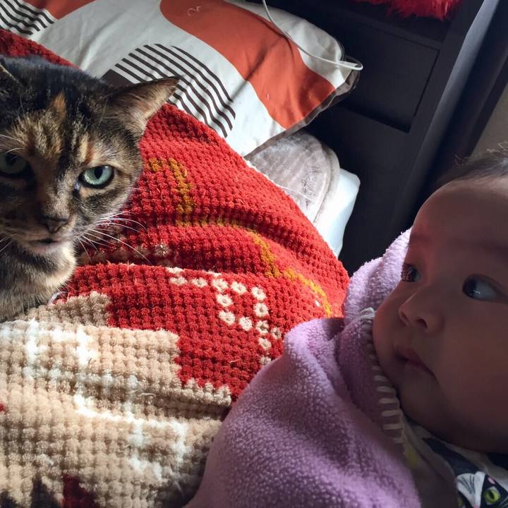 C32475bb 06a3 43d3 91bf 8d28f710fff1 1577837187849