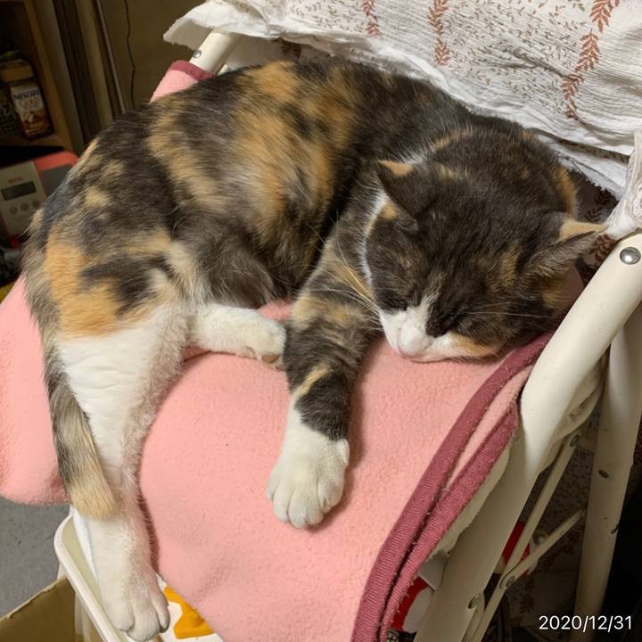 C3248848 3c8e 4653 a6a4 55ca631b975e 1609410608100