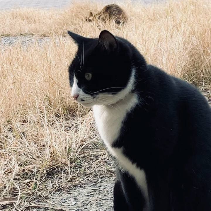 C32492f8 041d 4ea4 8c63 c6291756438a 1737288565942