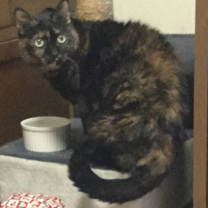 C324d99e 55d1 44cd a994 7c87b5d14d77 1577921214090