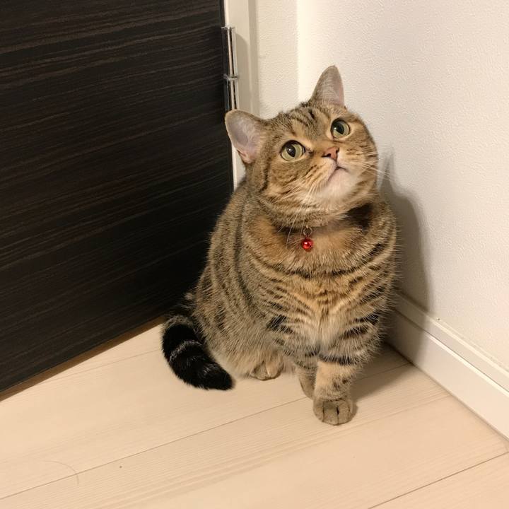 C324e5d7 e65b 4f87 93fa 4a353a895372 1524405795274