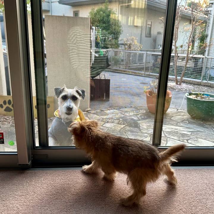 C324f74b 1e4c 46ae a6da 39da275d169e 1702129738632