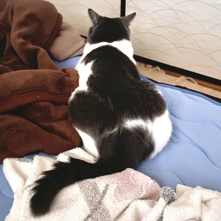 C32520ec 7156 4ce5 b5b1 70b72bd44f60 1658784099413