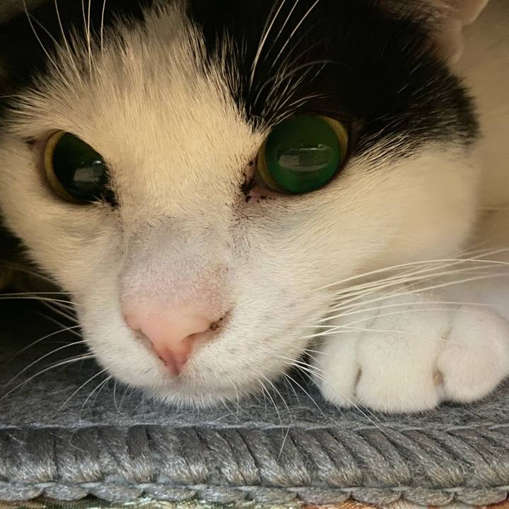 C3253ab0 28c7 4477 a0d8 8e794904e44e 1572349999684