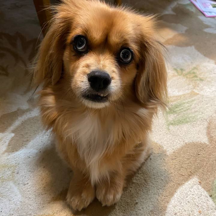 C325690d 74c3 4fdc a350 7b683317d3b0 1577225184223