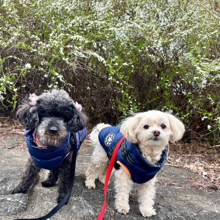 C325b15b 8f72 4d26 9cf8 cffb58329dd1 1773045311787