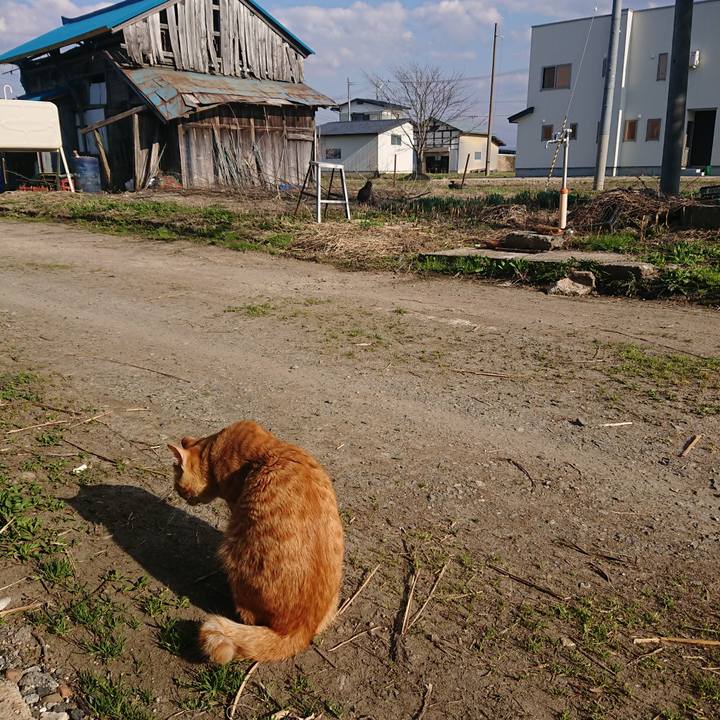 C325e793 cfd2 46b6 af5e 4da470471af1 1650440915046