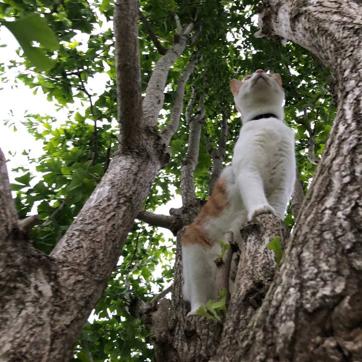 C325ea80 6d56 4de0 bde0 41abd68b1a5f 1538208558760