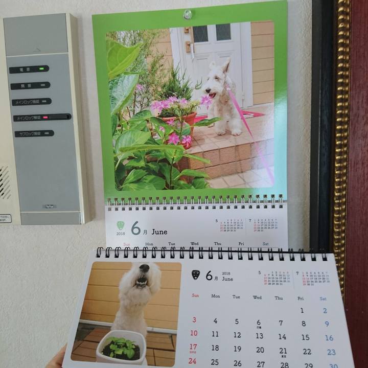 C325f5f4 1321 4bc0 a4af c264bcaeda5d 1527815030031