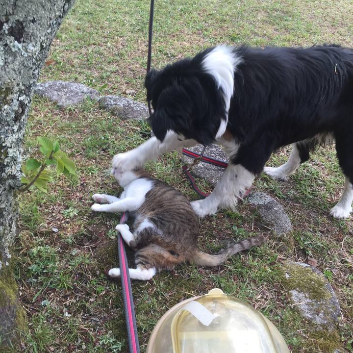 C3263c8b b8df 4b9b 9085 27cbf9b278ac 1523262496149