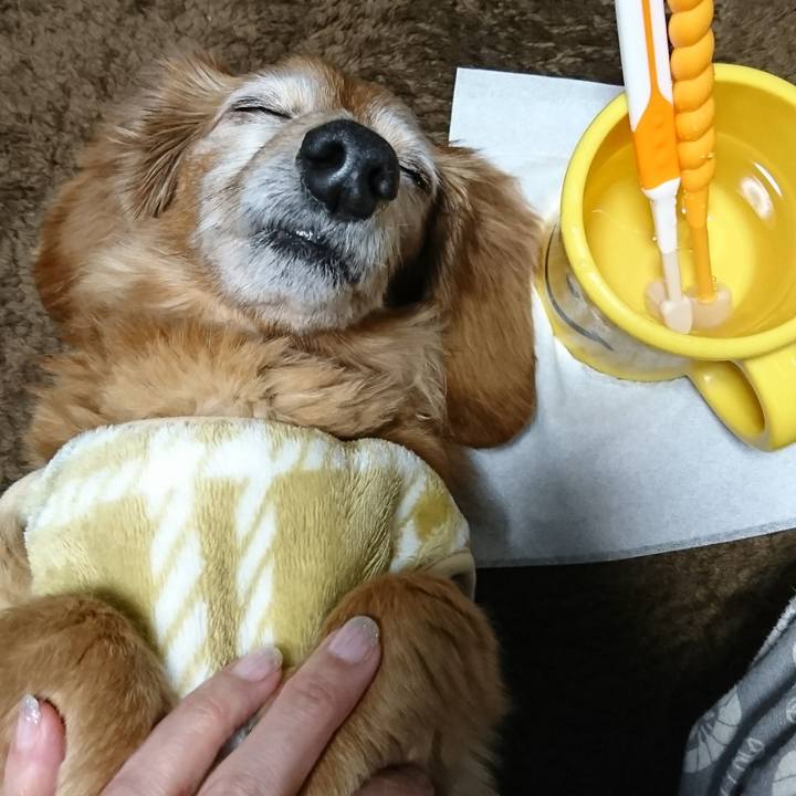 C3267a5d b7b5 48f9 aaaa 3079bb148332 1517939752349