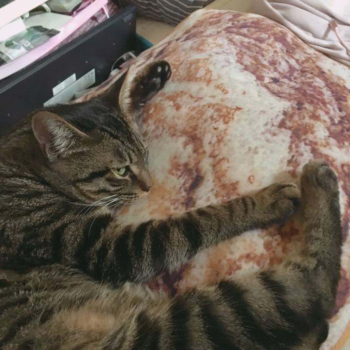 C3267fa7 e41a 40c8 b97f 3a4ba0470322 1549590555743