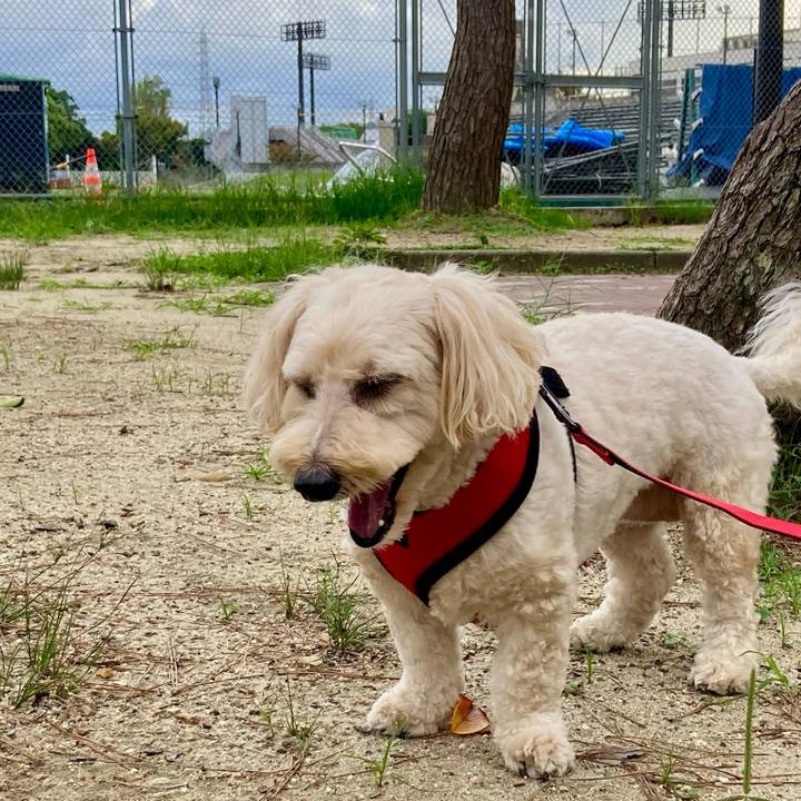 C3268228 e54b 4fff 95c4 7fbdd70753f2 1760947862002