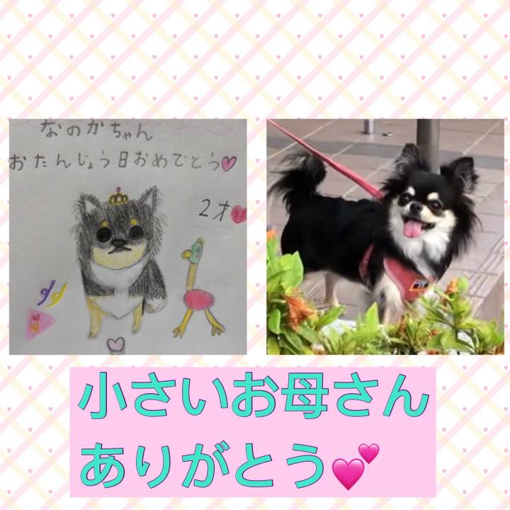 C326a7e2 a9cf 45e5 aa08 7b0ce4820a91 1591655465235