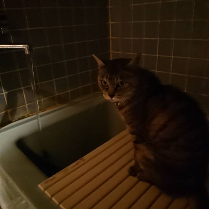 C326ec4d 168a 41b9 86de 2b15b7f40cae 1570787124420