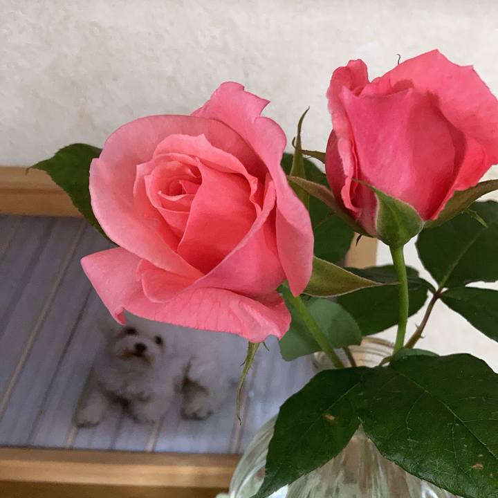 C326ed36 0845 4113 b288 547c4907b2d1 1747448500088