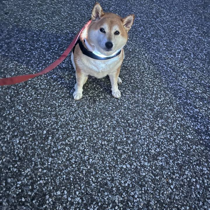 C326f22e 1954 4802 907f c21ba7369f6d 1692267008489