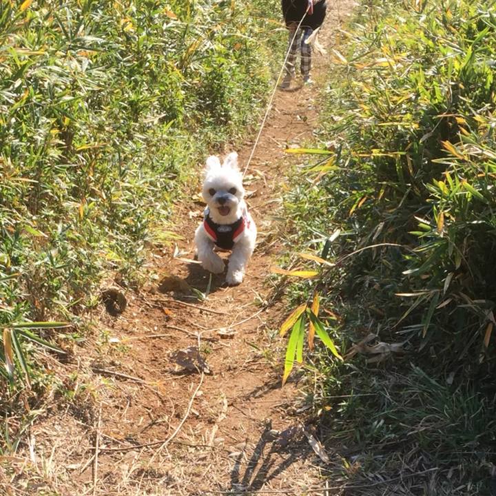 C3273ad0 fb42 4891 b8ee a49dade367ef 1512286137718