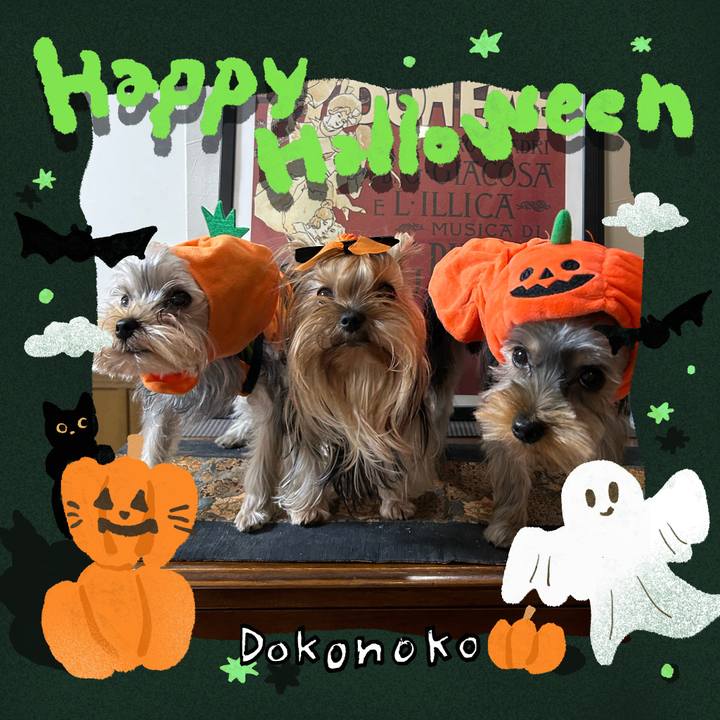 C3275f64 8be4 4f50 9812 e17e1932aaee 1730020603254