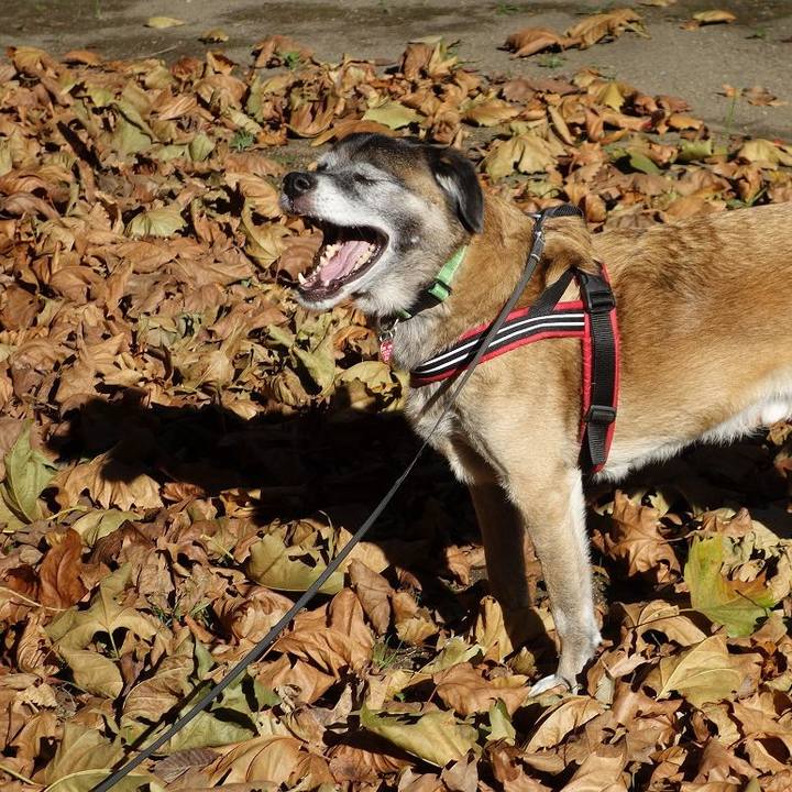 C32786b0 2a35 4333 a3fe 6be19e9bf44e 1510449199141